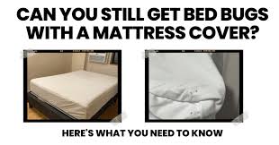 Bed Bugs With A Mattress Cover