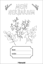 Dieses herbarium deckblatt und weitere kostenlose. Herbarium Anlegen Tipps Vorlagen Schulunterricht Deckblatt Erstellen Deckblatt