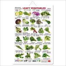 leafy vegetables manufacturer supplier