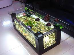 I like the idea very much and i search for the best options. Beautiful Coffee Table Aquariums Aquarium Coffee Table Fish Tank Coffee Table Coffee Table Design