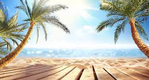 summer background images browse 80