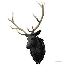 Stag Head Stag Antlers
