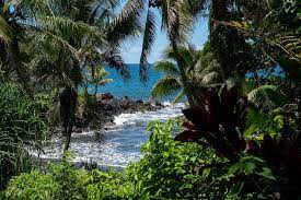 hawaii tropical botanical garden on the