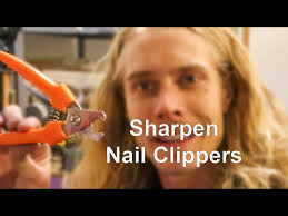 how to sharpen dog nail clippers you