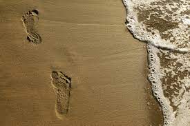 The Magic of Footprints in Wet Sand - WSJ