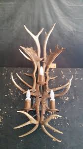 Wall Sconces Fish S Antler Art