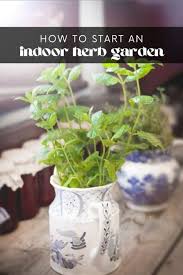 8 Best Indoor Herb Plants Longbourn Farm
