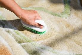 carpet cleaning with brush