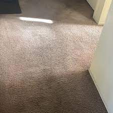 green carpet steam cleaning 33 photos