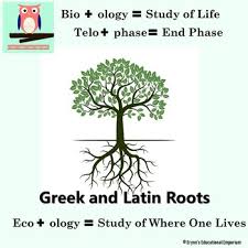 Greek And Latin Roots Chart