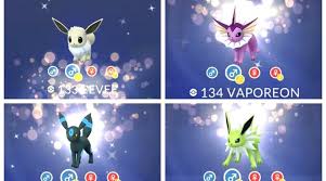 Shiny Eevee Evolution Chart Pokemon Go Www