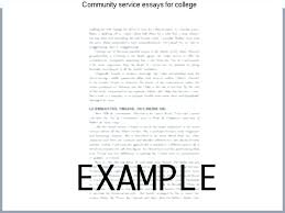 Student Essay Examples Community Service Essay Example Example