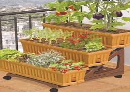 Rooftop Garden Plant Kit Manufacturer