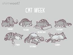 Cat Week