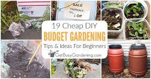 Diy Tips To Gardening On A Budget