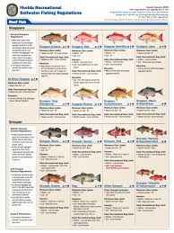 Tampa Bay Fishing Calendar Fishing Charters St Pete Beach