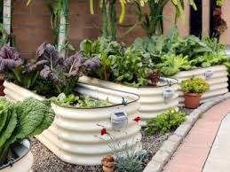 The Best Raised Beds For Gardening