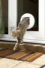 Sureflap Microchip Cat Flap And Door