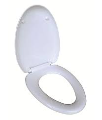 Hydraulic Toilet Seat Cover In Nashik