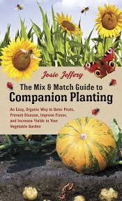 The Mix Match Guide To Companion Planting An Easy