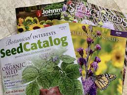 10 very best garden catalogs every