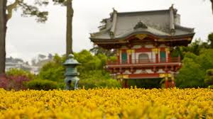 anese tea garden in golden gate