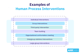 what is human process intervention