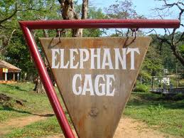 Elephant Training Center Konni Wikipedia