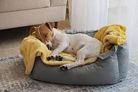 17 of the best dog beds in 2023