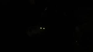 Image result for pictures of in the dark