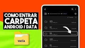 la carpeta data en android 12