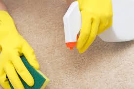 carpet cleaning business in fontana ca