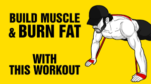 burn fat build muscle with this