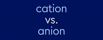 cation vs anion what s the