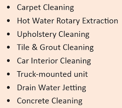 carpet cleaner