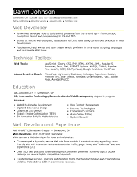 To write great resume for web developer job, your resume must include: Sample Resume For An Entry Level It Developer Monster Com