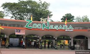 Harga tiket + jalan ke lokasi wisata. Harga Tiket Masuk Medan Zoo 2021 Eco Green Park Review Harga Tiket Masuk 2021 Tinggal Dimana