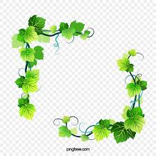 green vine clipart vector hand painted