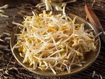 can-bean-sprouts-be-poisonous