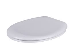 Oval Shaped Toilet Seat China Factory