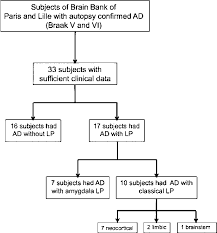 Flow Chart Ad Alzheimer Disease Lp Lewy Pathology