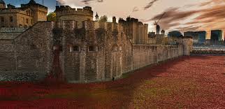 tower of london poppies