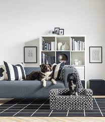 7 best couch material for dogs and pets