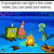 1080 x 1080 xbox gamerpic memes hoyhoy images gallery. Go Get That Education Funny Spongebob Memes Exams Memes Exams Funny