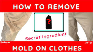 Fabric and textiles, including athletic and outdoor work clothing are vehicles for mold and bacteria to remain close to your body. How To Get Mold Out Of Clothes Fabric Remove Mildew Smell