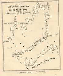 File Fmib 40209 Chart Of Vineyard Sound And Buzzards Bay