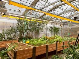 Greenhouse Cooling Energy Efficient