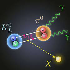 Subatomic Particle Decay | New Subatomic Particle