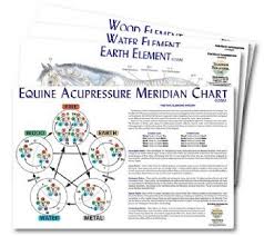 Equine 5 Element Chart Set Clinical Charts And Supplies