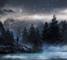 Фотообои Туманная ночь флизелиновые, 300x270 см, L13-206 в Набережных  Челнах – купить по низкой цене в интернет-магазине Леруа Мерлен